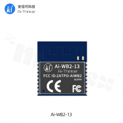 AI-WB2-13